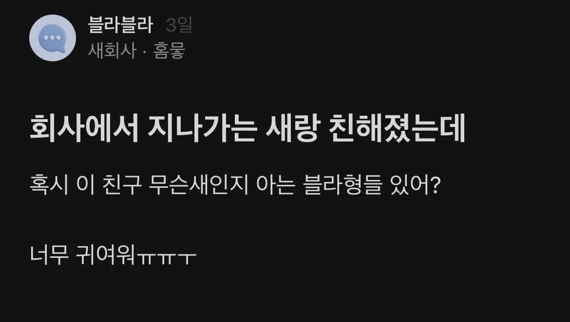 썸네일-회사에서 지나가는 새랑 친해졌는데-이미지