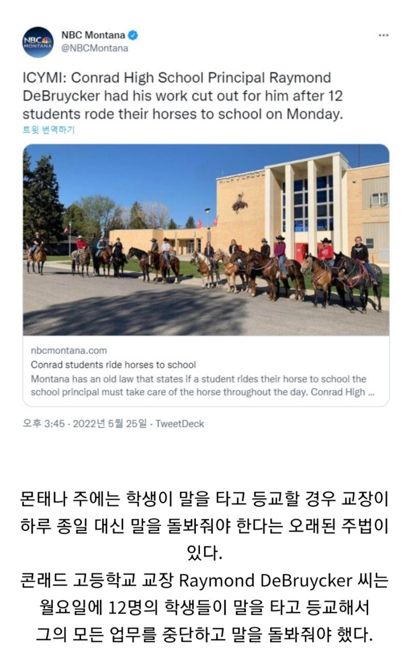 썸네일-미국 어느 고등학교 학생 12명이 말을 타고 등교한 이유-이미지