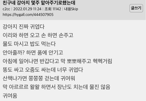 썸네일-친구네 강아지 몇주 맡아주기로했는데-이미지