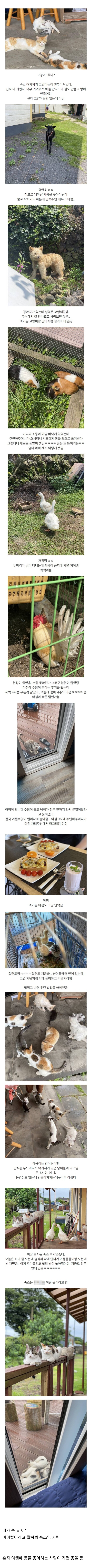 썸네일-제주도에 있는 동물 많은 숙소 후기.jpg-이미지