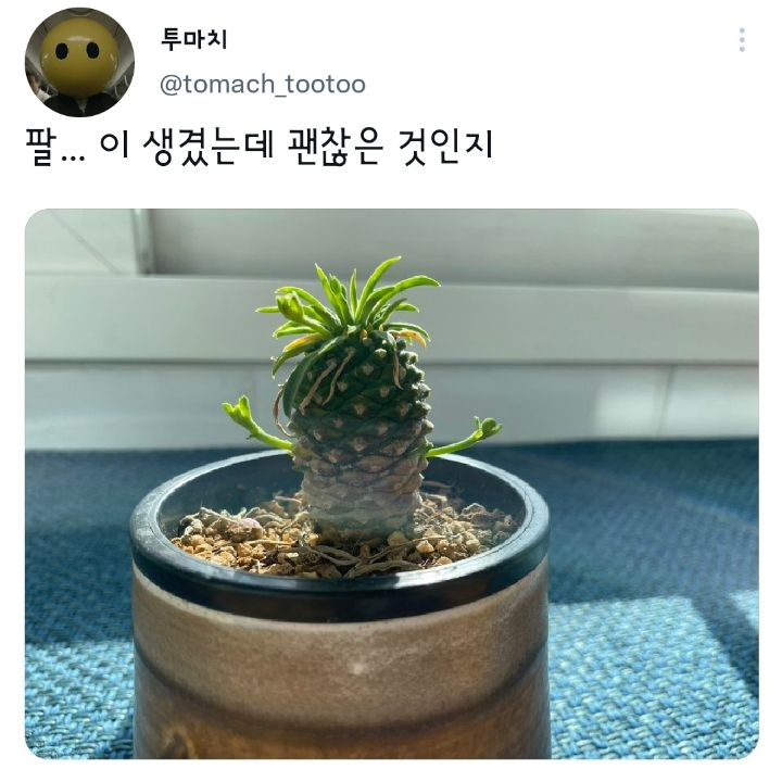 썸네일-팔이 생겼는데 괜찮은 것인지.jpg-이미지