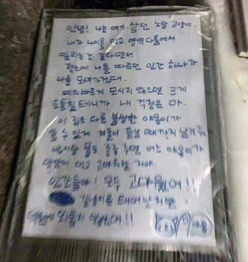 썸네일-안녕! 나는 여기 살던 노랑 고양이-이미지