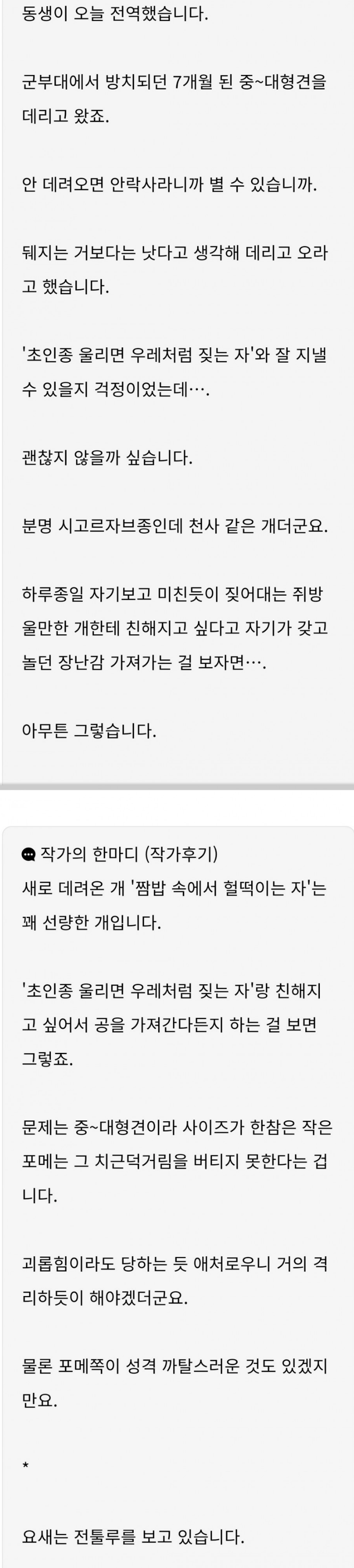 썸네일-동생이 전역하면서 군견을 데려왔다-이미지