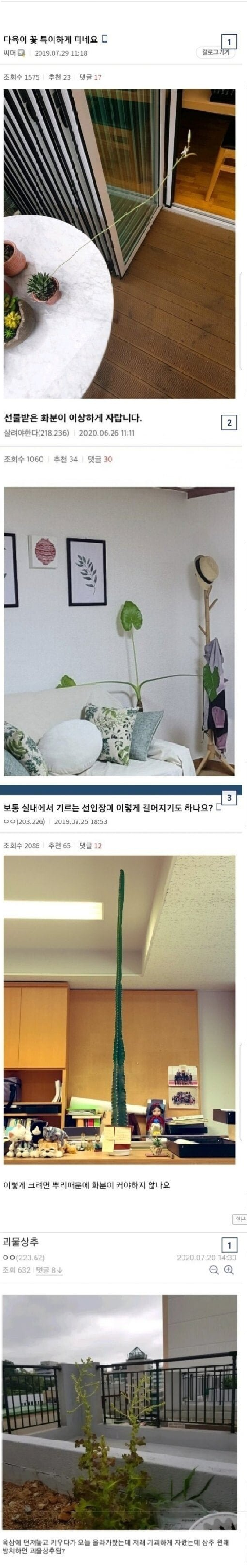 썸네일-싱글벙글 식물갤-이미지