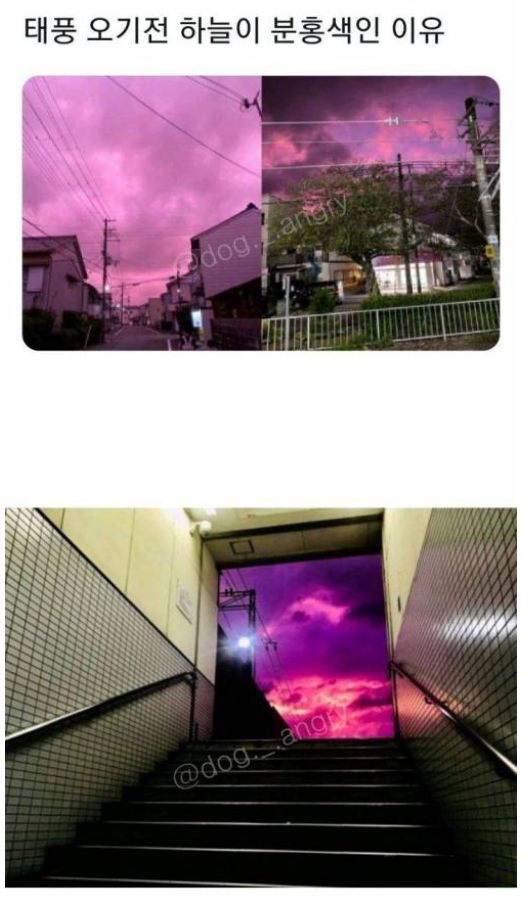 썸네일-태풍 오기전 하늘이 분홍색인 이유-이미지