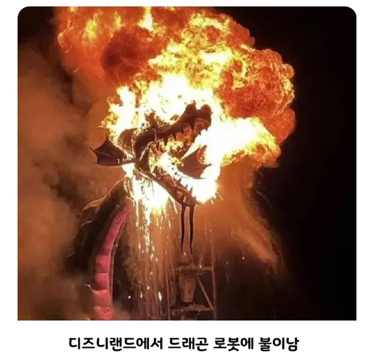 썸네일-디즈니랜드에서 사고가 나도 사람들이 놀라지 않는 이유-이미지