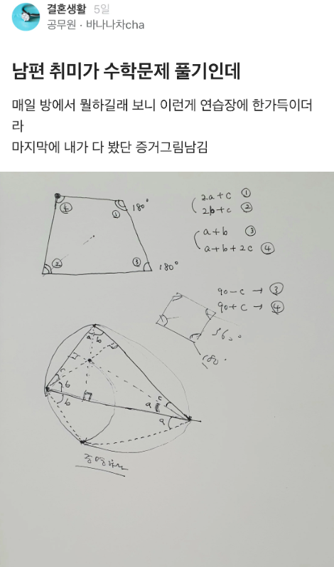 썸네일-남편 취미가 수학문제 풀기인데-이미지