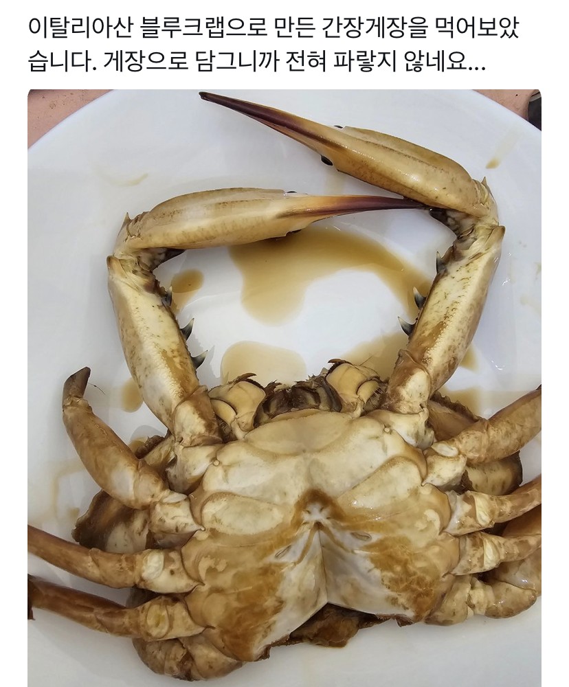 썸네일-영국 교민이 만든 이탈리아산 블루크랩 간장게장 후기-이미지