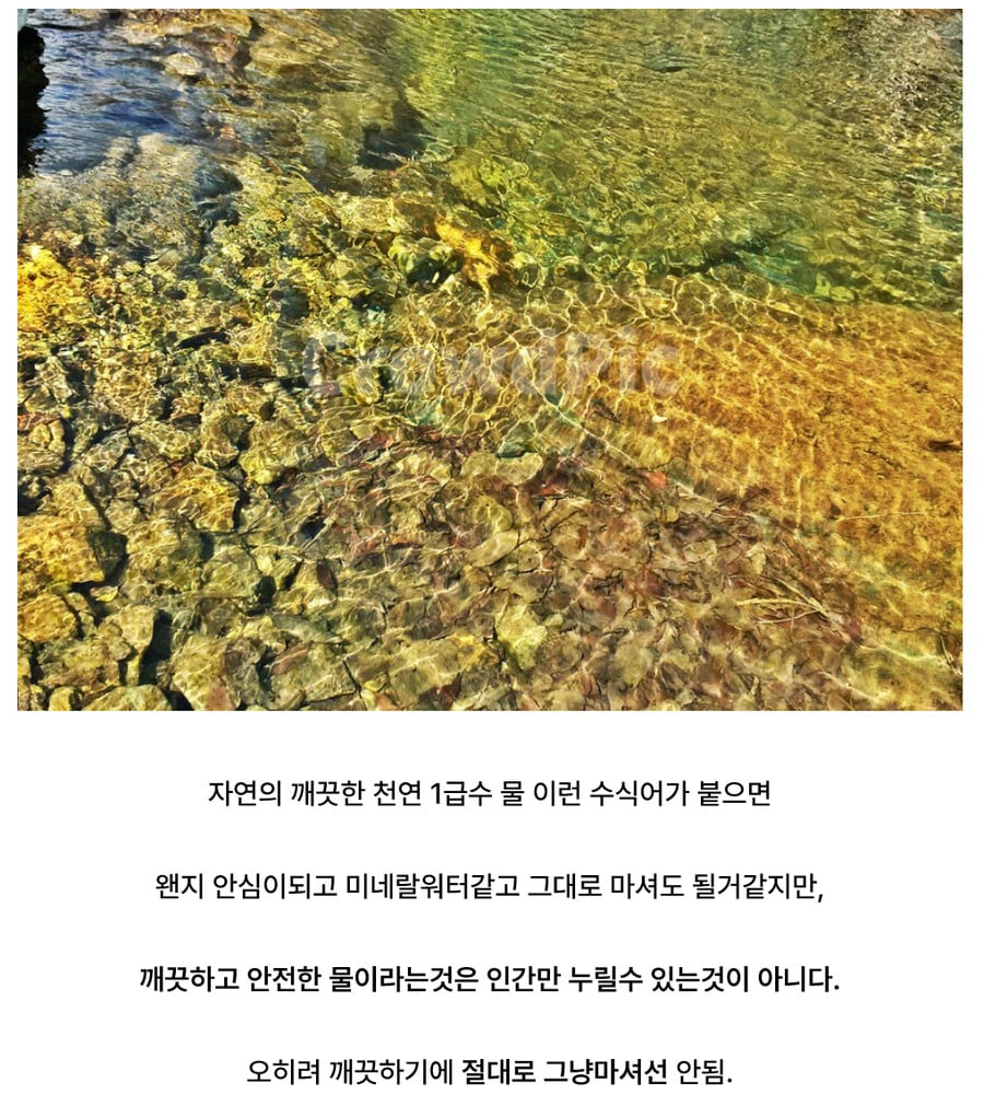 nokbeon.net-깨끗한 물이 주는 거대한 착각.jpg-2번 이미지