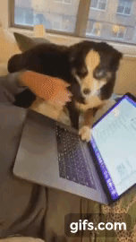 https://social-phinf.pstatic.net/20230926_102/1695719745046KsMKz_GIF/872a080f194ed5e4b9f53e1cb88e0c04.gif