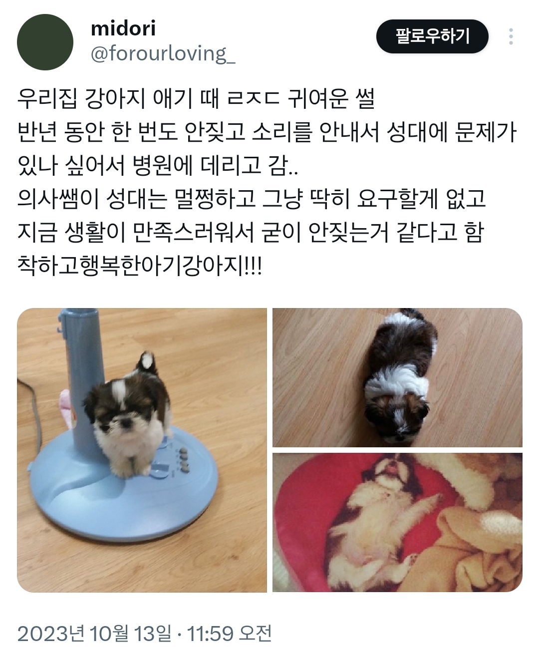 썸네일-우리 집 강아지 아기 때 레전드 귀여운 썰-이미지