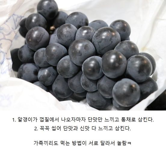 썸네일-서로 놀라는 포도 먹는 방법-이미지