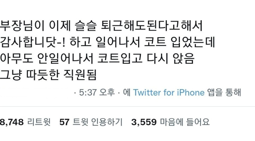 썸네일-부장님이 이제 슬슬 퇴근해도 된다고 해서-이미지