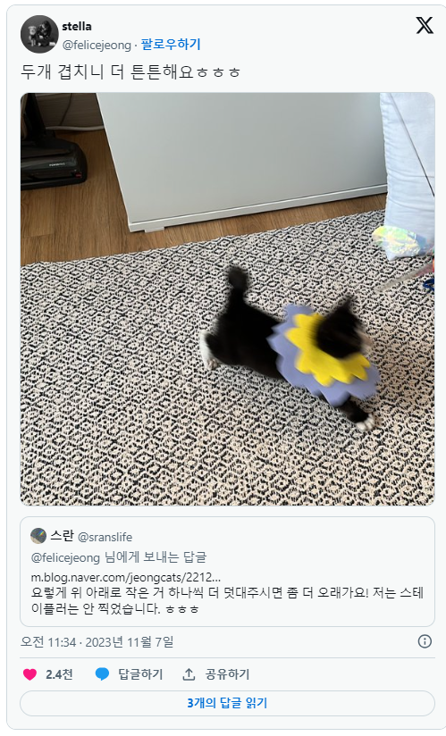 nokbeon.net-주방 행주로 넥카라 한 아기 고양이-8번 이미지