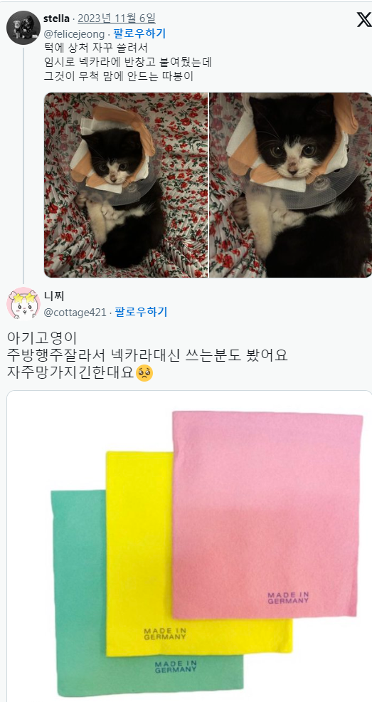 nokbeon.net-주방 행주로 넥카라 한 아기 고양이-1번 이미지