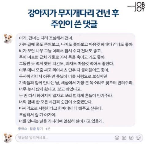 썸네일-강아지가 떠난 후 주인이 남긴 작별 인사-이미지