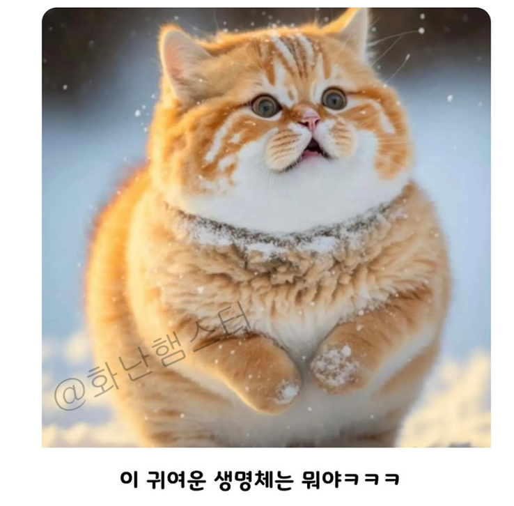 눈밭을 뛰어다니는 맹수