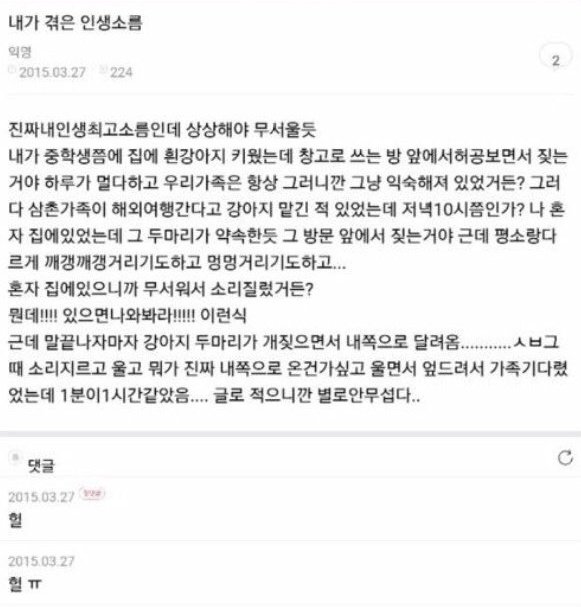 썸네일-공포) 있으면 나와봐라-이미지