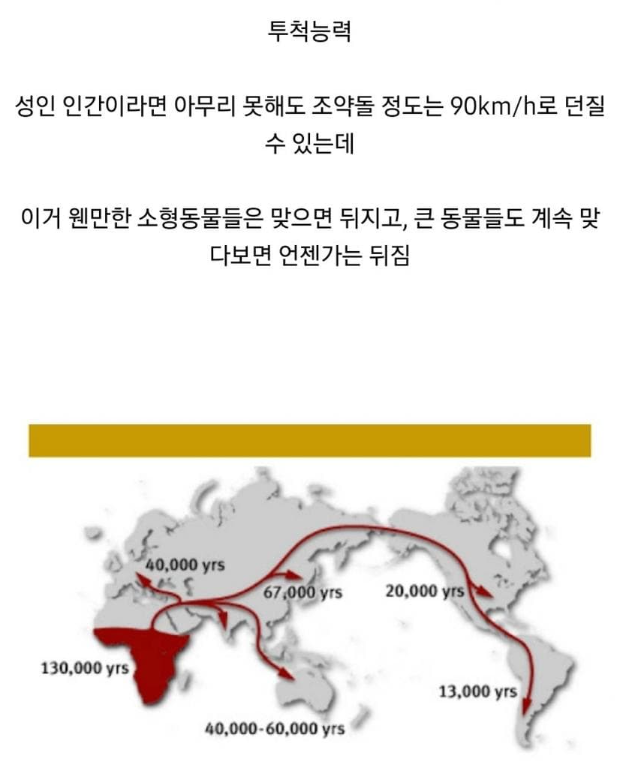 썸네일-인간이 신체적으로 동물보다 우월한 부분-이미지