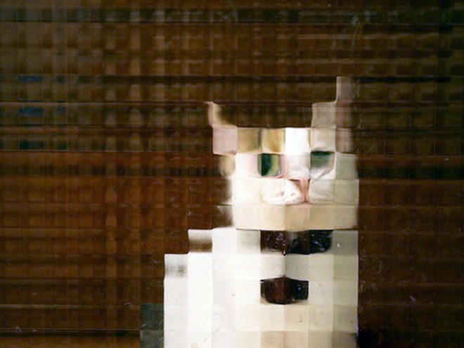 nokbeon.net-유리창 너머 고양이들.jpg-1번 이미지