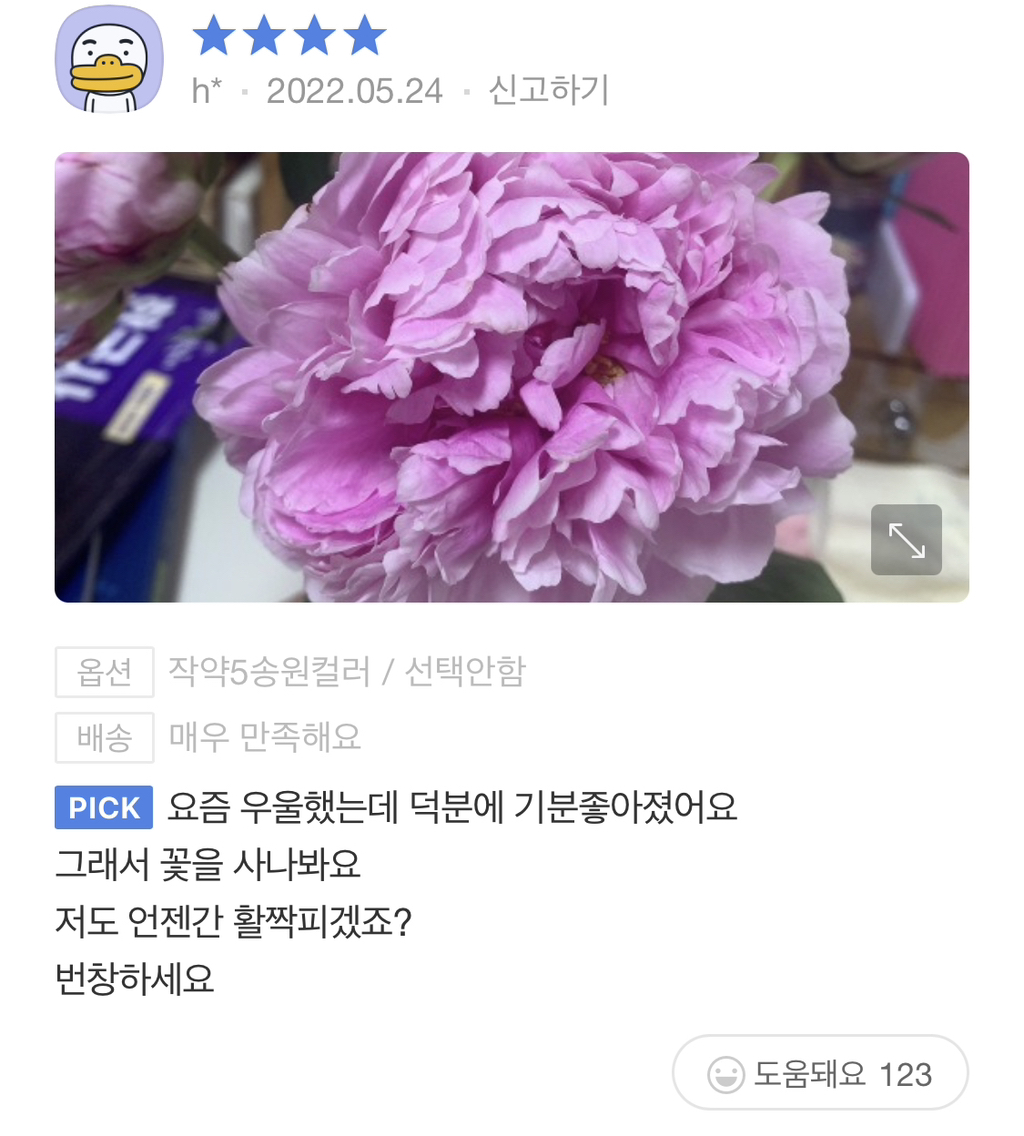 썸네일-저도 언젠가 활짝 피겠죠?-이미지