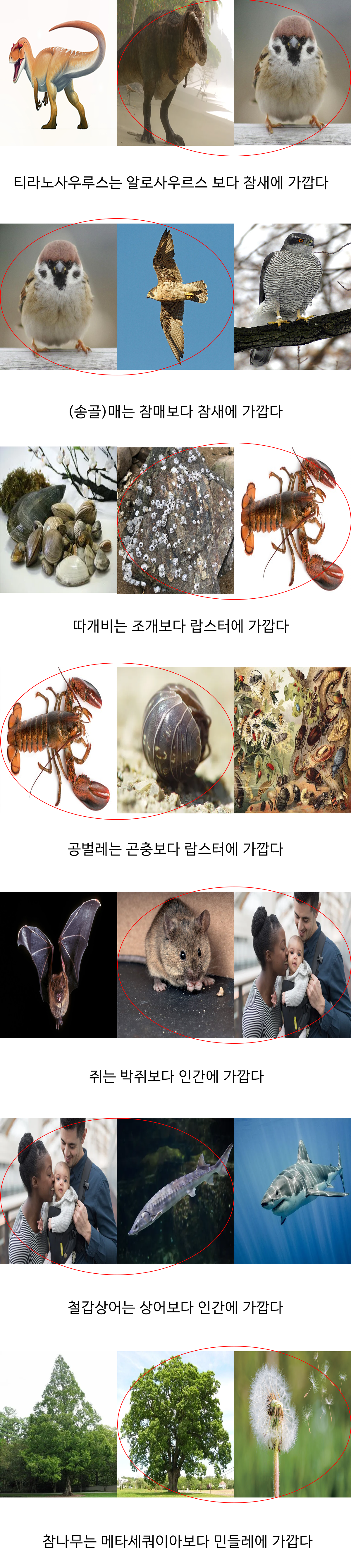 썸네일-충격적일 수도 있는 생물 계통학적 사실들-이미지