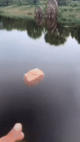 썸네일-강에 함부로 돌을 던지면 안 되는 이유.gif-이미지