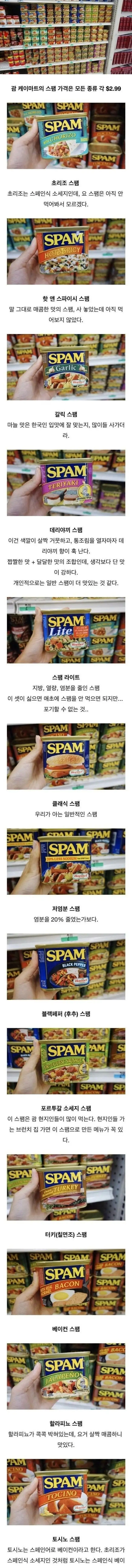 nokbeon.net-한국인은 잘 모르는 스팸 종류-1번 이미지