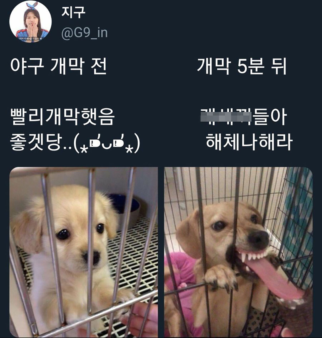 썸네일-드디어 이 계절이 돌아왔음ㅋㅋㅋㅋㅋ-이미지