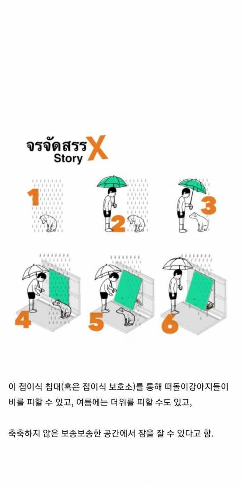 nokbeon.net-태국에 있다는 떠돌이 개들을 위한 접이식 침대-2번 이미지