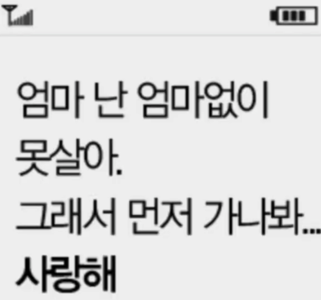 nokbeon.net-대구지하철 참사때 마지막문자들-5번 이미지