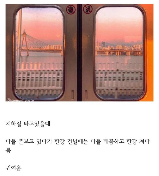 썸네일-사실 서울 사람들도 은근히 한강 구경하는거 좋아함-이미지