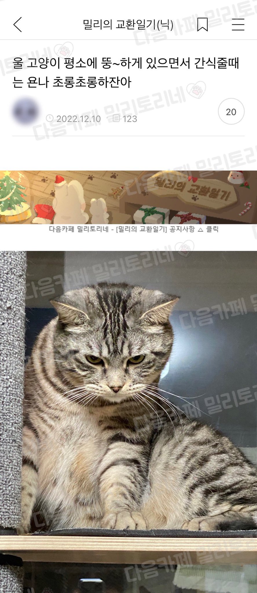 nokbeon.net-우리 고양이 평소엔 뚱~하게 있거든.jpg-1번 이미지