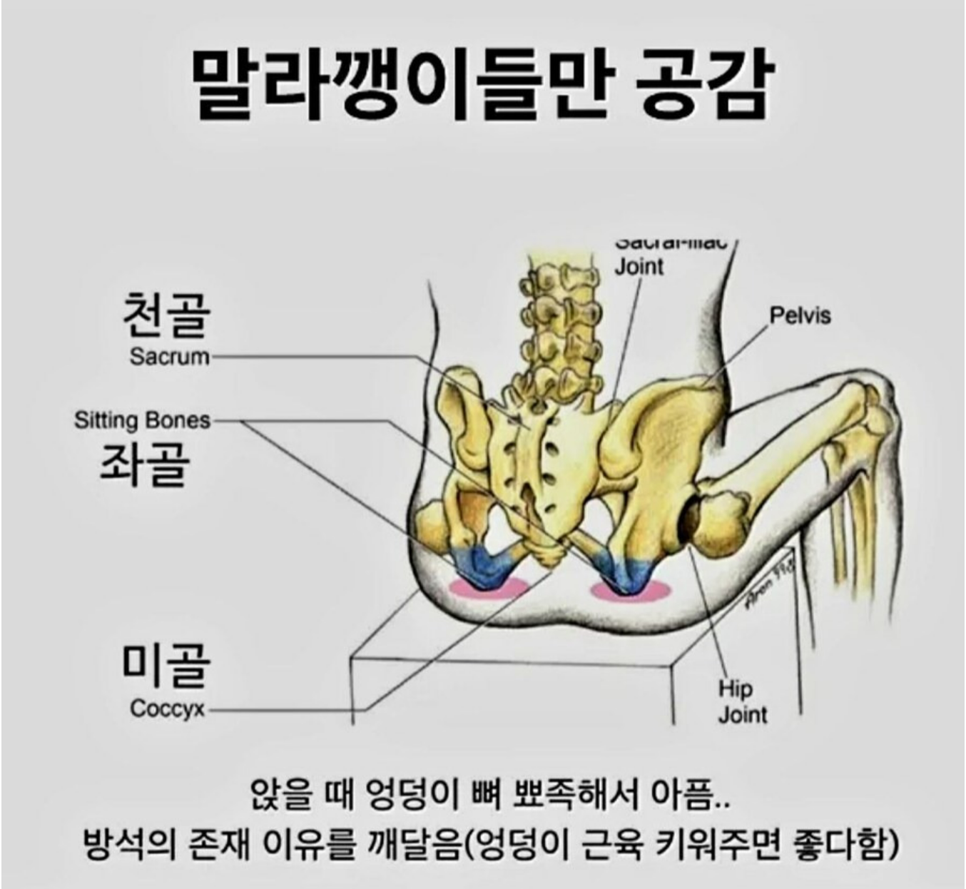 썸네일-좀 마른 사람들만 공감함-이미지