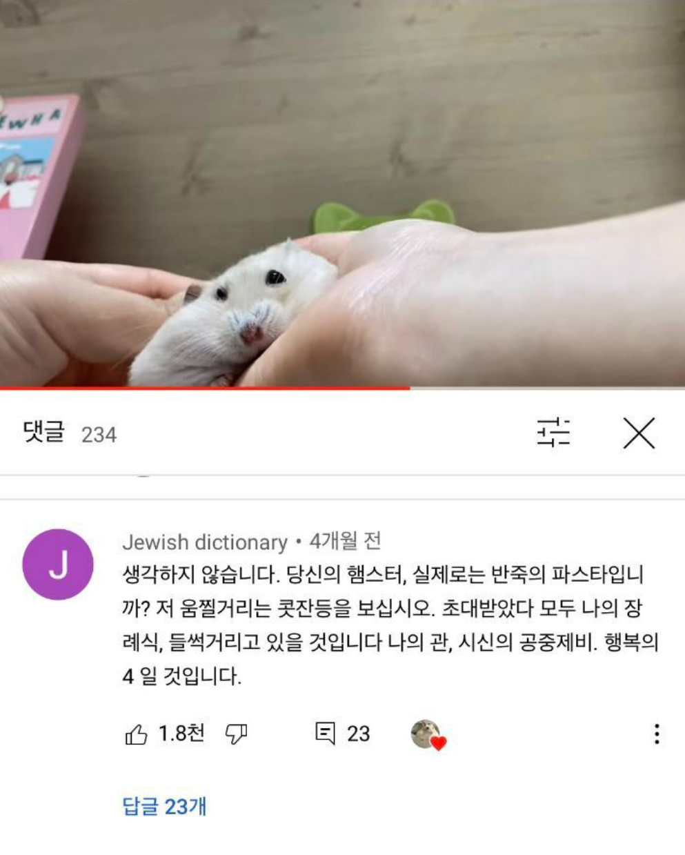 썸네일-햄스터 영상에 외국인이 귀엽다고 남긴 댓글-이미지