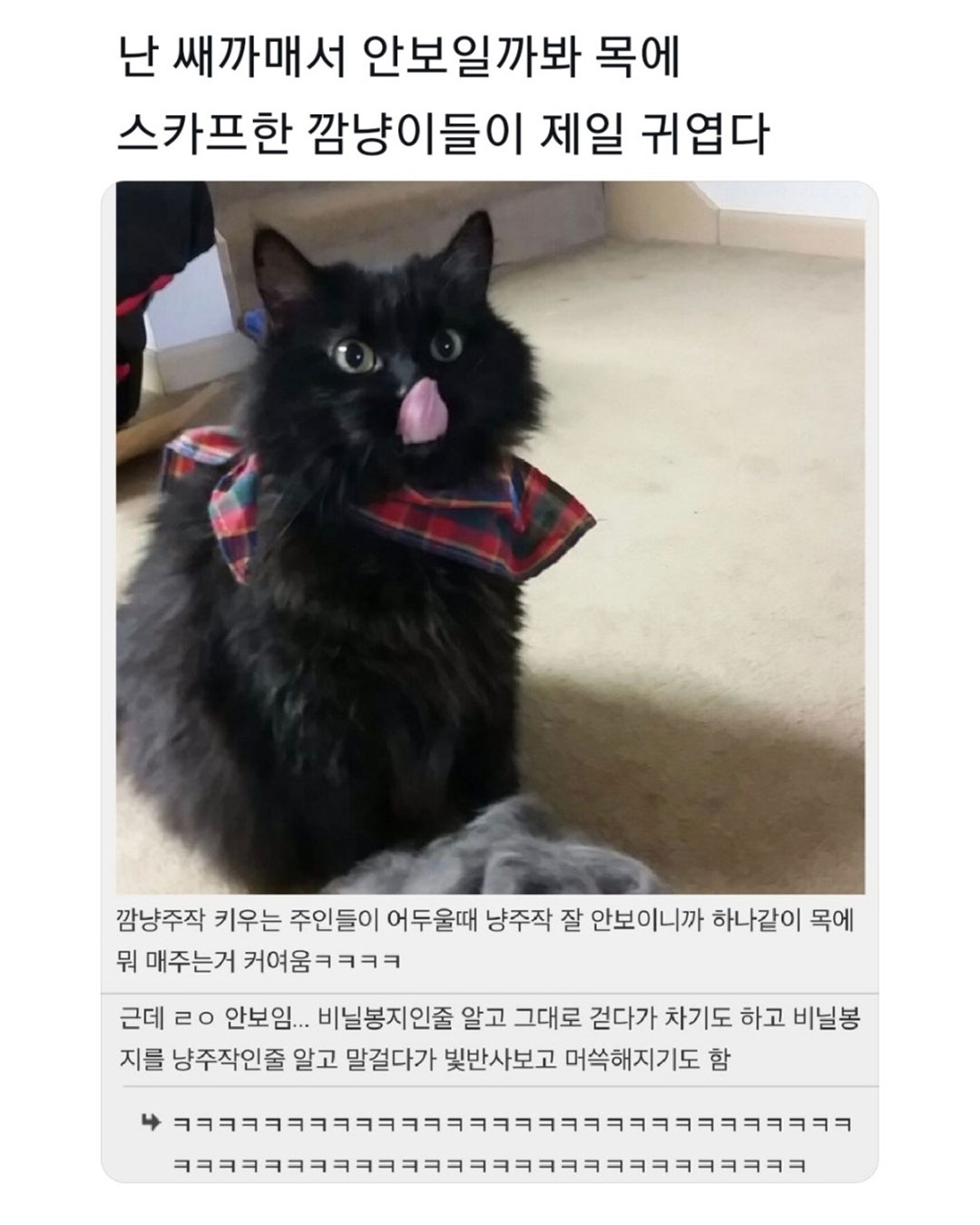 썸네일-까매서 안보일까봐서 스카프한 고양이-이미지