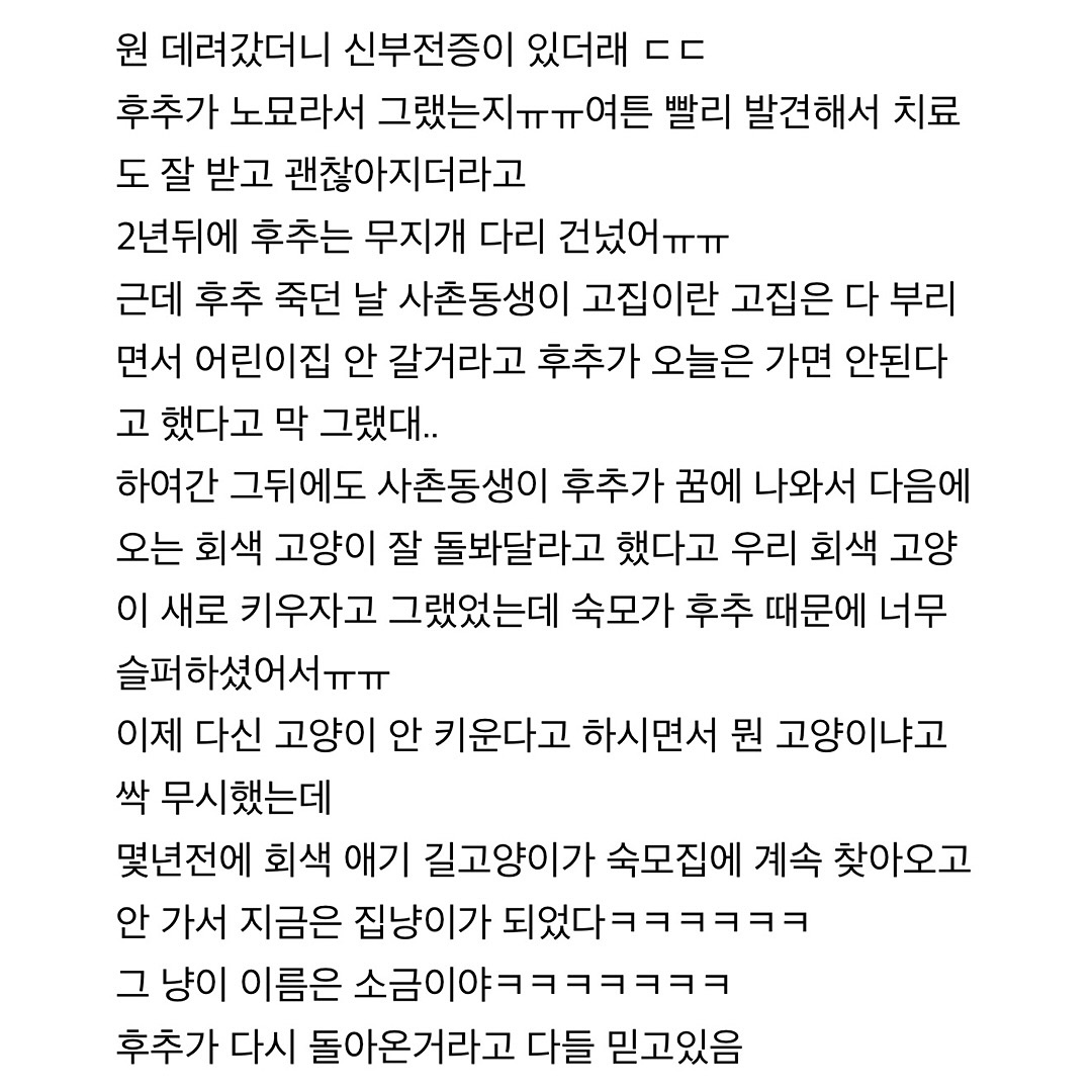 nokbeon.net-사촌동생이 애기였을때 고양이 말을 알아듣던 후기-2번 이미지