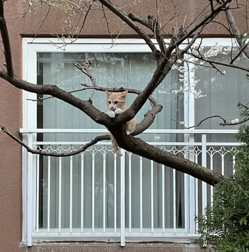 썸네일-집 앞에 고양이 이러고 있더라-이미지