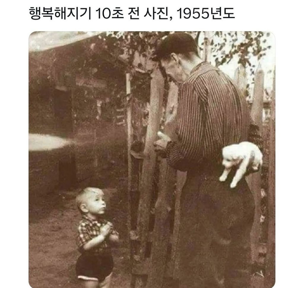 행복해지기 10초 전 ...9초-메인 썸네일 이미지