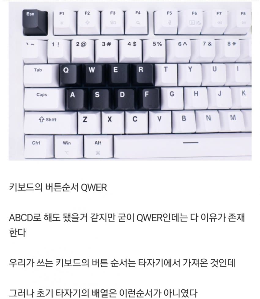 nokbeon.net-QWER은 어떻게 탄생했을까?-1번 이미지