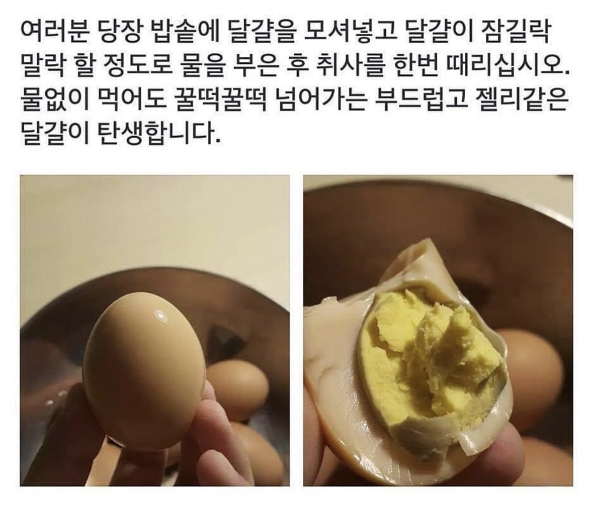 꿀떡꿀떡 부드러운 달걀 만드는법 꿀떡꿀떡 부드러운 달걀 만드는법