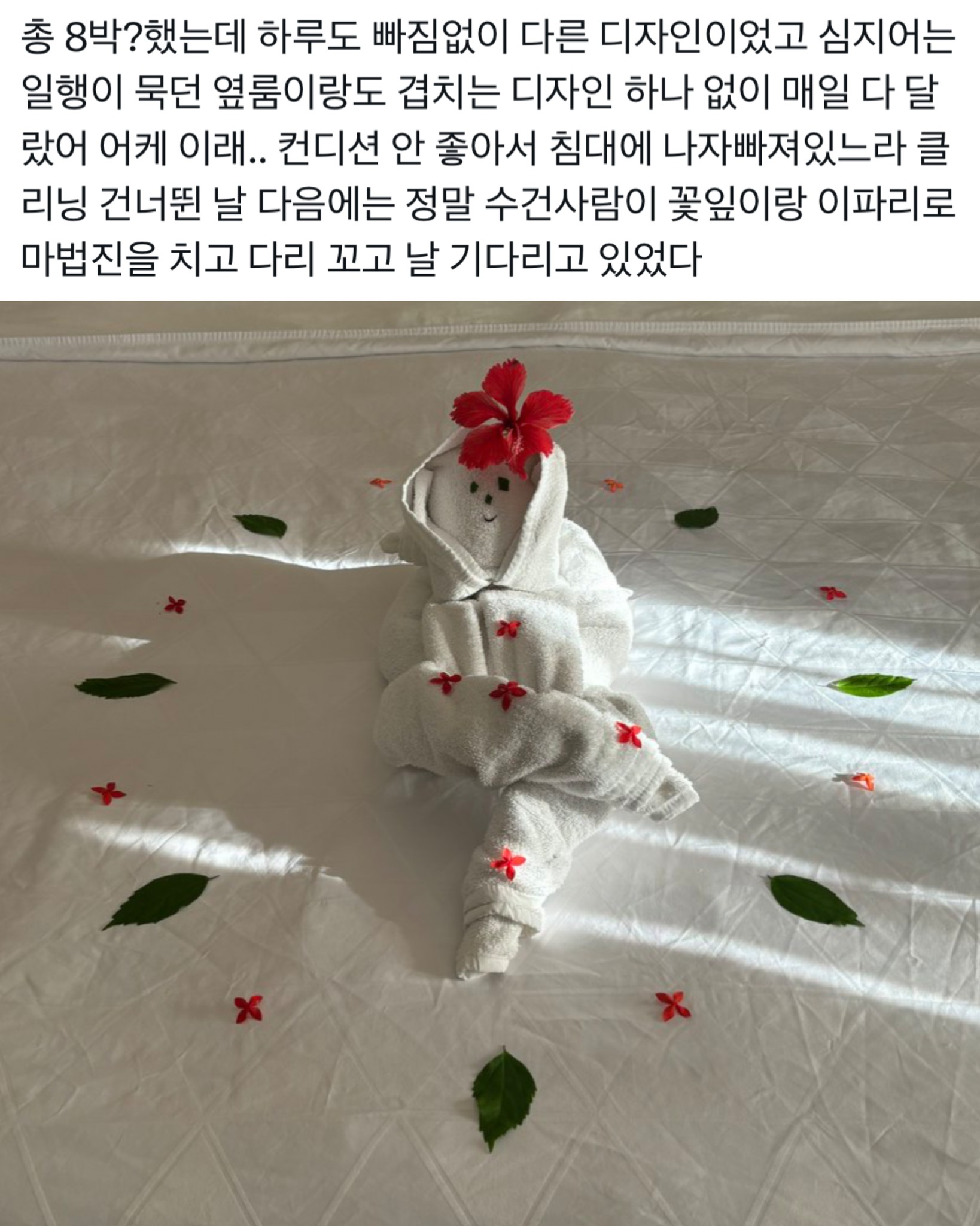 nokbeon.net-호텔 수건 아트 개쩐다고 편지랑 팁 남겼더니.jpg-2번 이미지