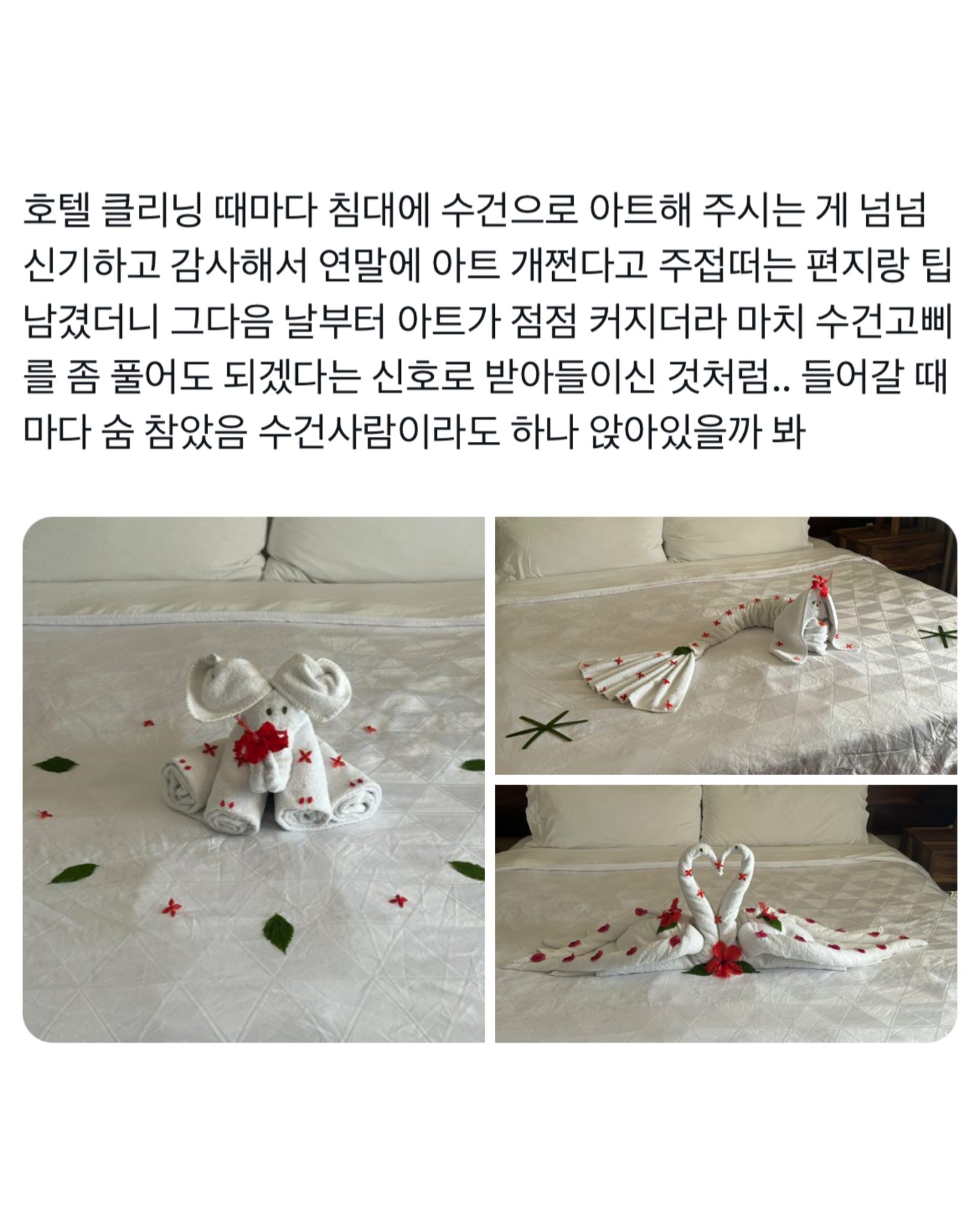 nokbeon.net-호텔 수건 아트 개쩐다고 편지랑 팁 남겼더니.jpg-1번 이미지