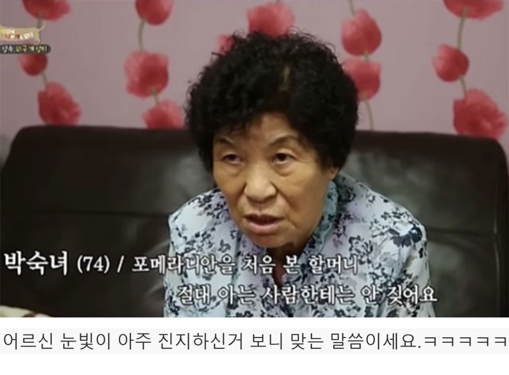 nokbeon.net-할머니가 생각하는 포메가 싸가지 없는 이유-4번 이미지