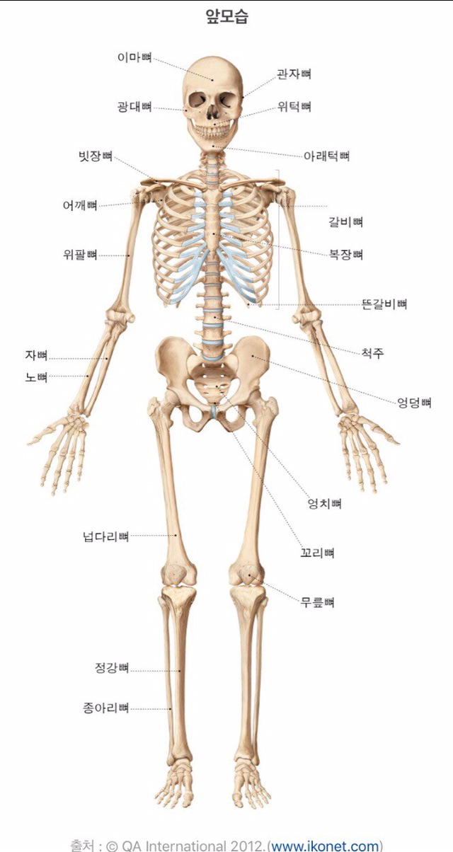 nokbeon.net-완치 개념이 없는 것 같은거.jpg-1번 이미지