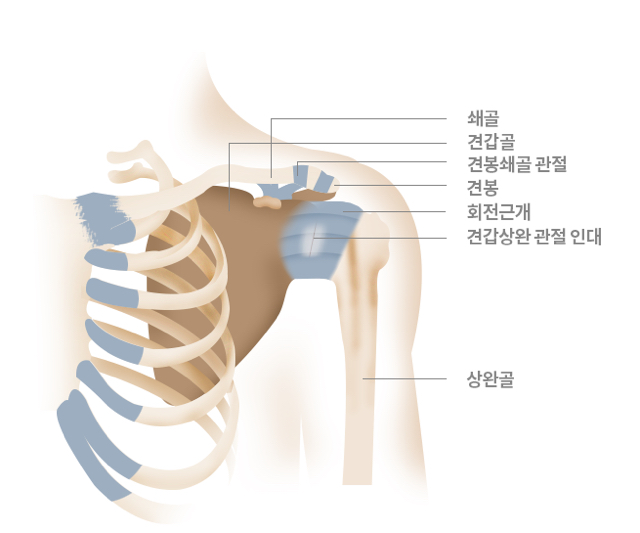 nokbeon.net-완치 개념이 없는 것 같은거.jpg-2번 이미지