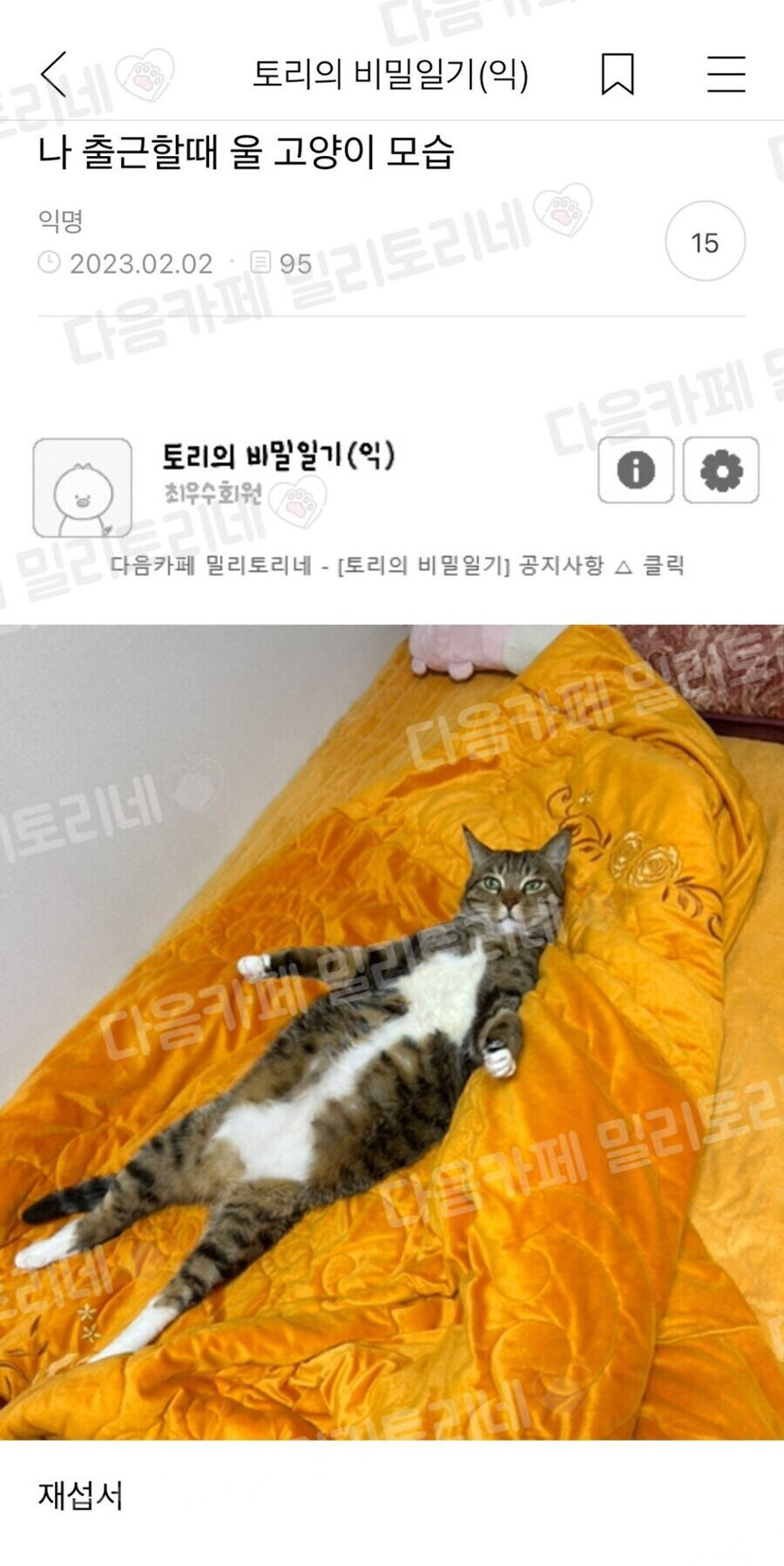 nokbeon.net-나 출근할 때 우리 고양이 모습-1번 이미지