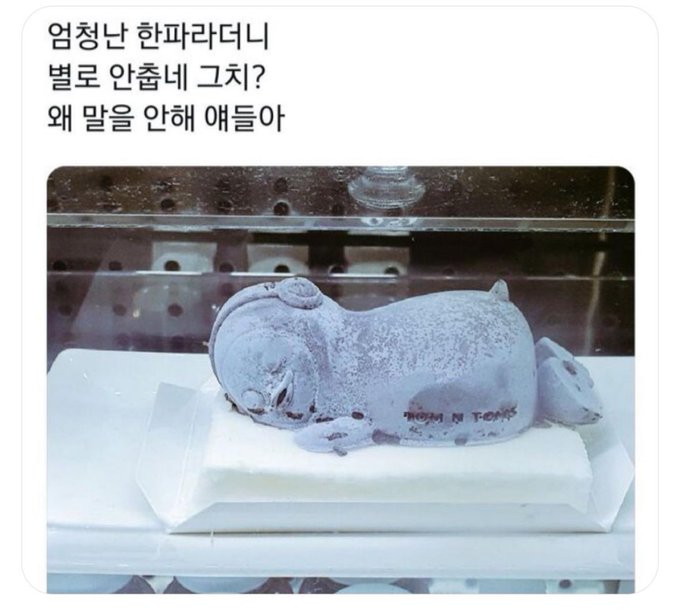 nokbeon.net-엄청난 한파라더니...jpg-1번 이미지