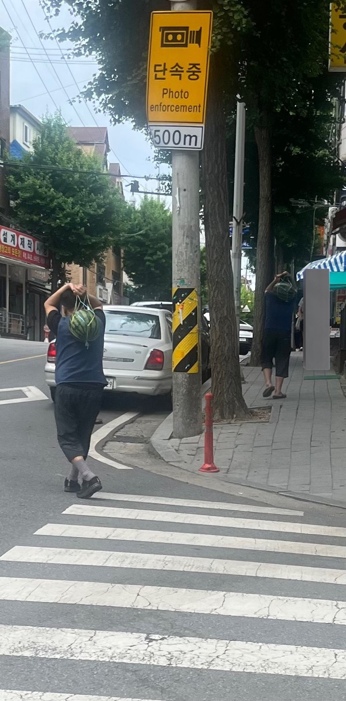 썸네일-나 더위 먹은 것인가??.jpg-이미지