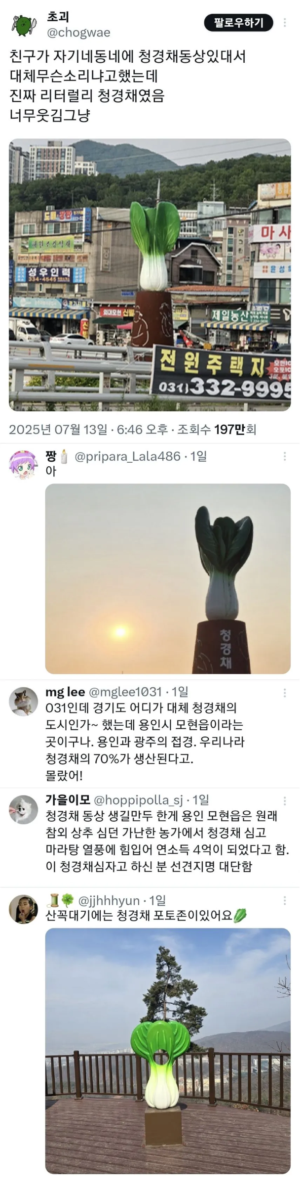 썸네일-친구가 자기 동네에 청경채 동상 있대서 무슨 소리냐고 …-이미지